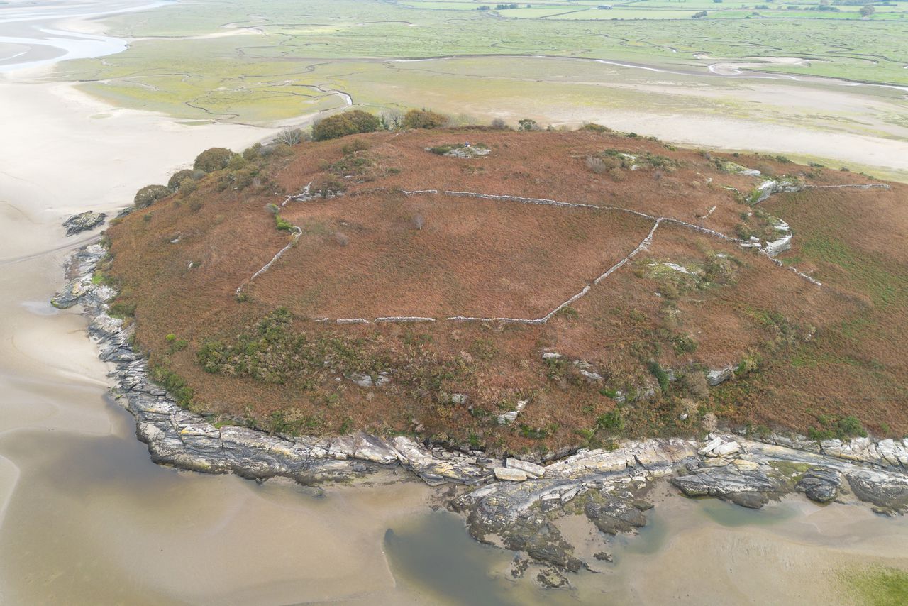 The barely inhabited welsh island of Ynys Gifftan, overgrown and lush