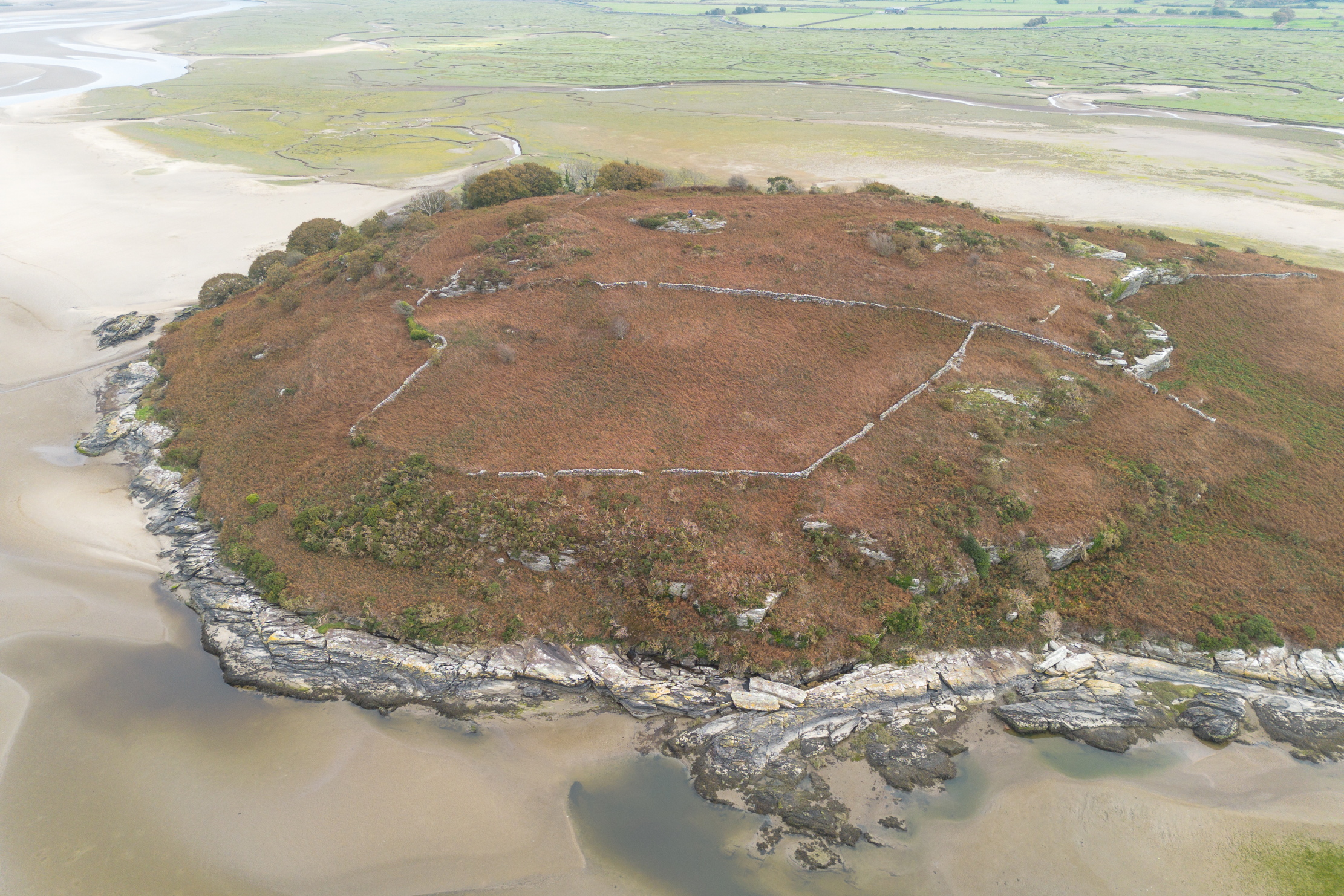 The barely inhabited welsh island of Ynys Gifftan, overgrown and lush