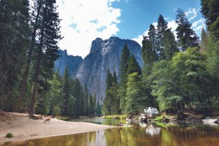Yosemite National Park ranked in list of most instagrammable landmarks in America