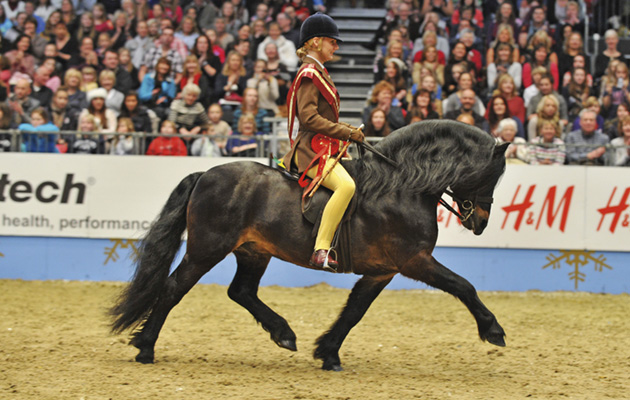 BSPS M&amp;amp;M supreme ridden final