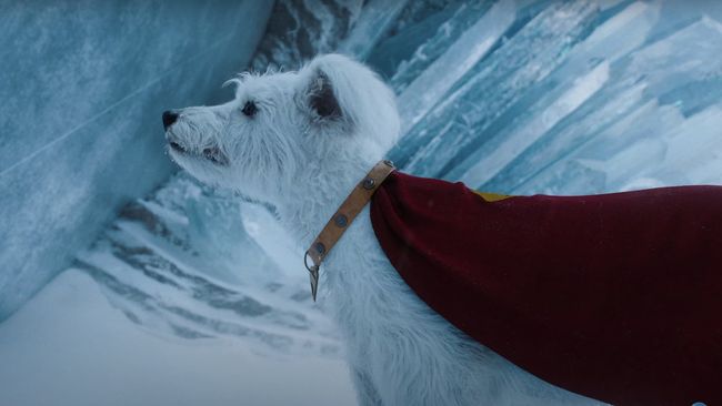 Watch James Gunn’s Dog Go Crazy Watching Superman’s Krypto (Which Was Totally Based Off Him)