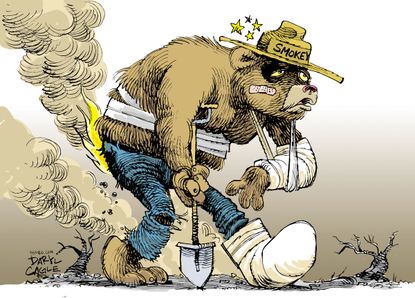 Editorial cartoon U.S. California fires