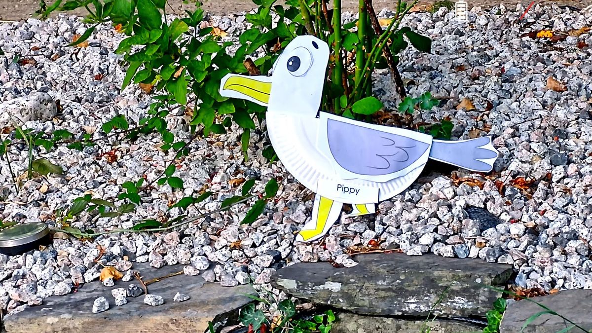 GoBirding Vision Master
