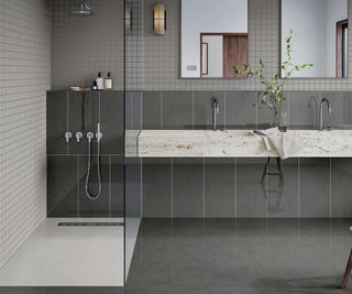 grey bathroom with large walk-in shower enclosure and double basin