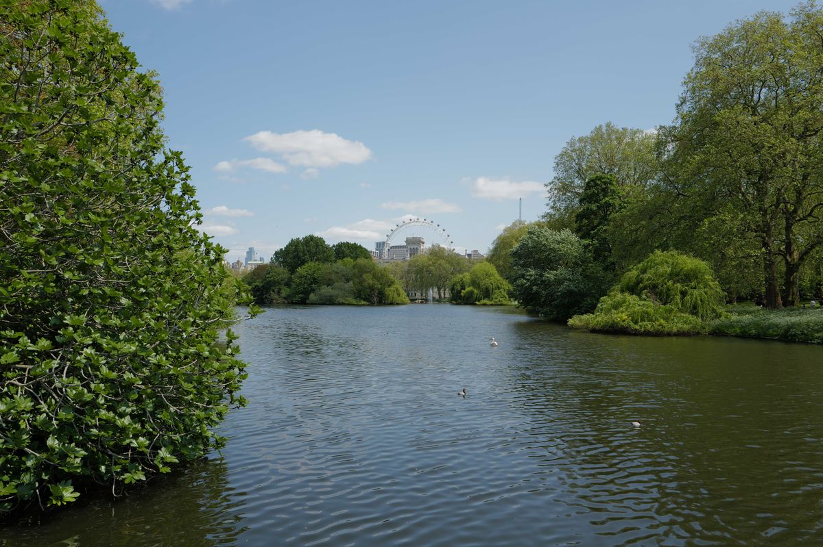 Hyde Park and London Eye shot on Leica Q3