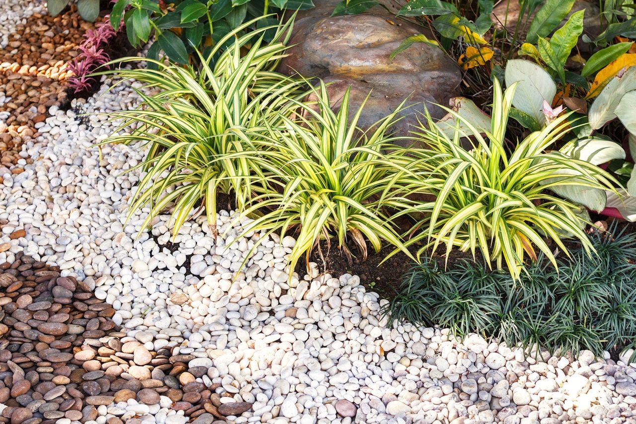 Garden With Gravel Landscape