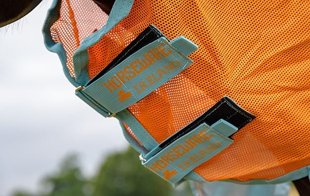 Amigo Vamoose Evolution fly rug review