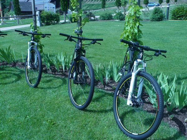Here are a few of the pre-production 2012 Specialized Fates.