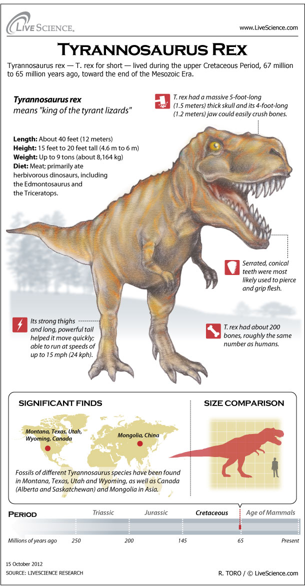  T-Rex: Tyrannosaurus Dinosaur Facts and Information