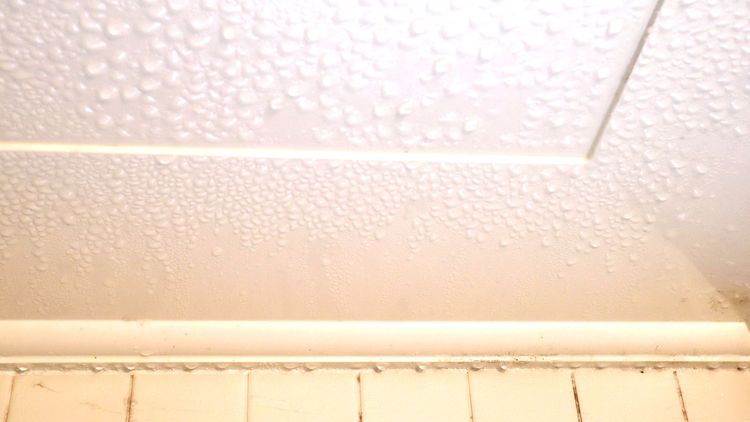 Condensation on ceilings — what is it and how to prevent it | Homebuilding