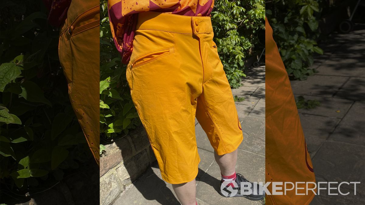 Endura Singletrack Lite shorts