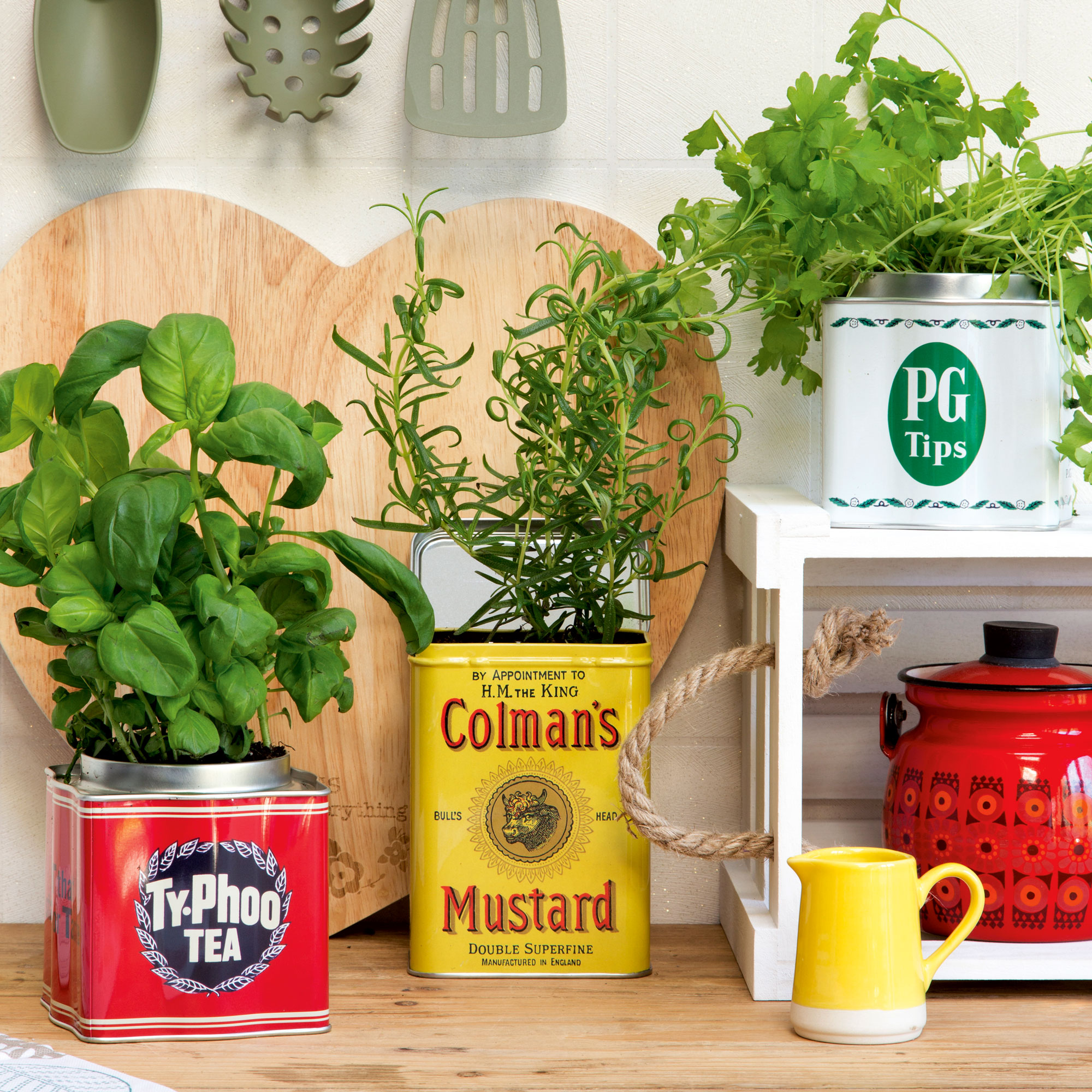 Three recycled tins with herbs growing in them on kitchen worktop