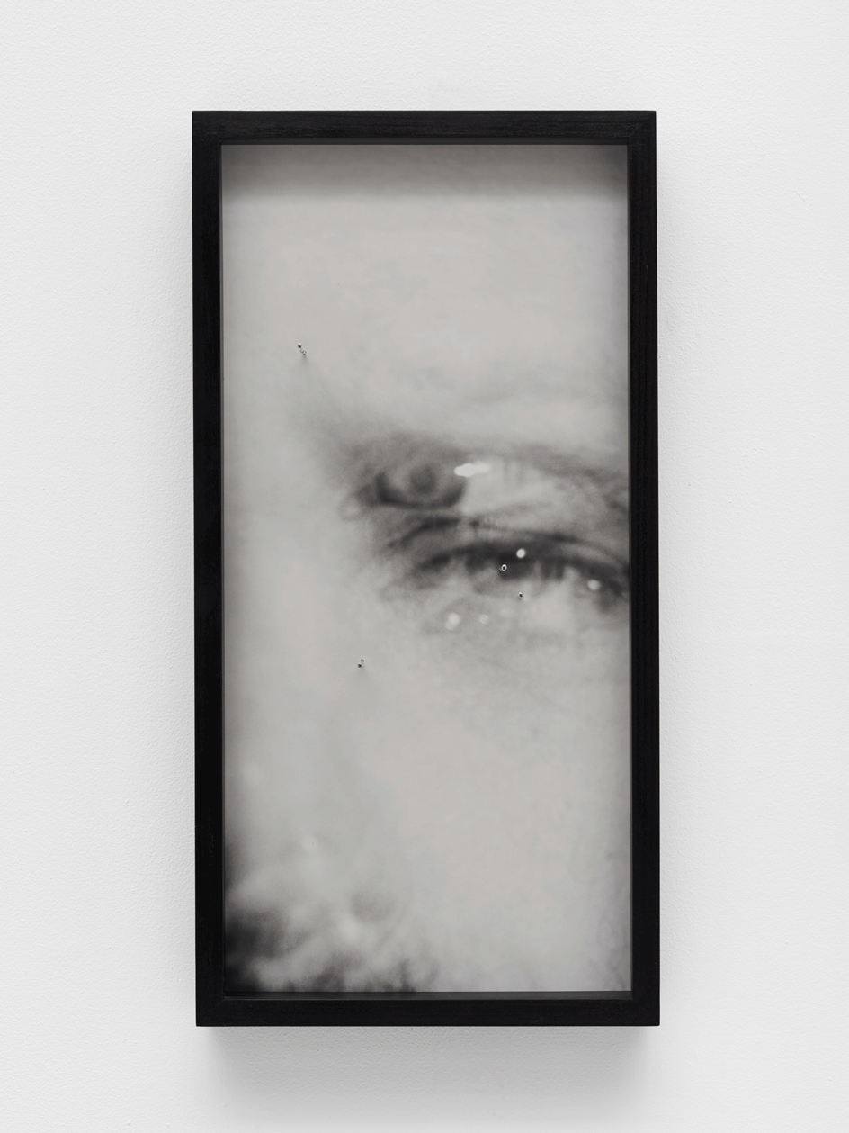 Polly Brown, Gunpowder and Shot, 2021, Silver gelatin print, solid silver nails, glass, wooden frame