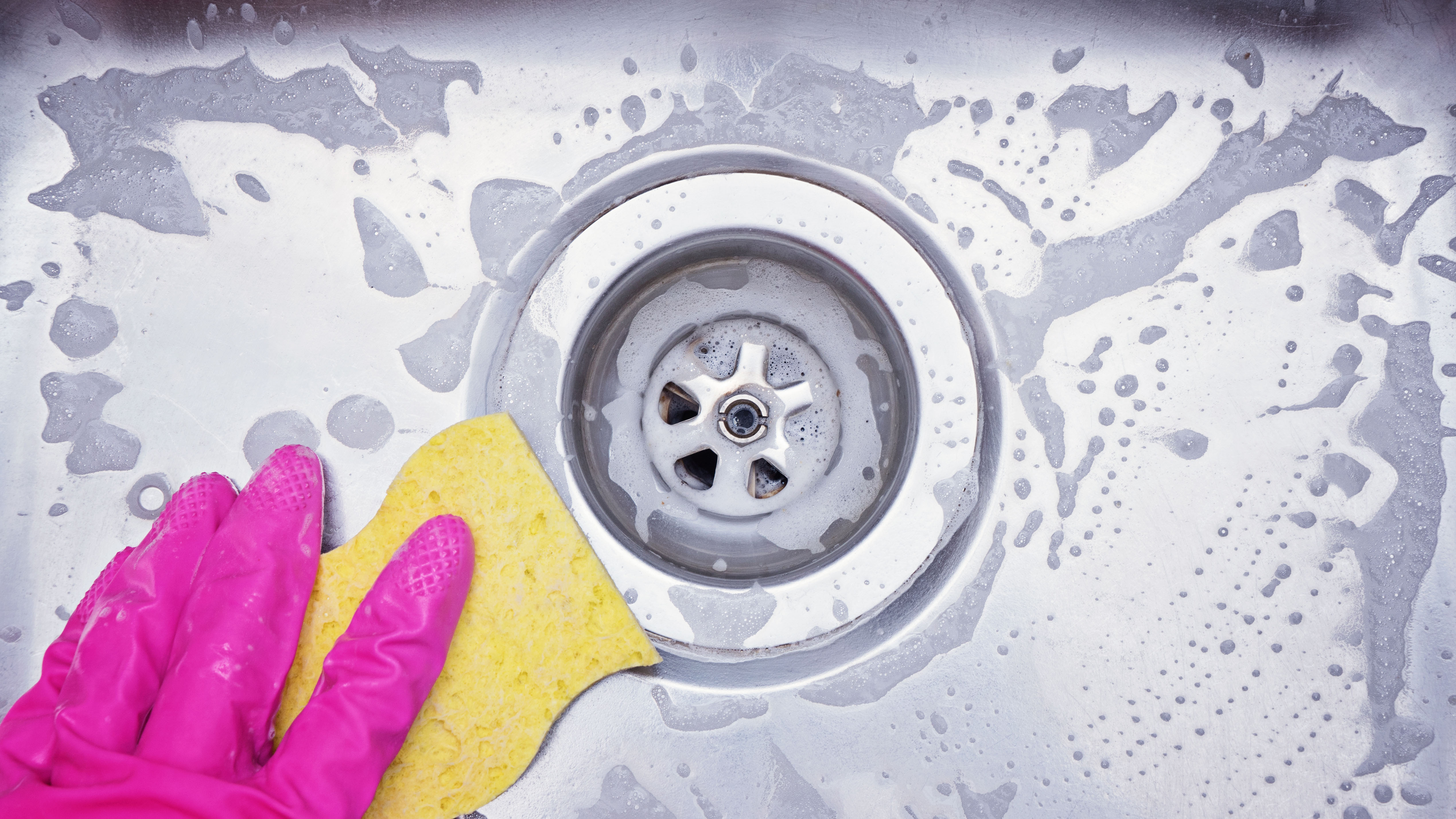 A stainless steel sink that is cleaned with soap and a sponge