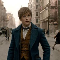 MC Fantastic Beasts