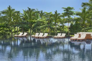 swimming pool with loungers at water's edge and tropical greenery beyond