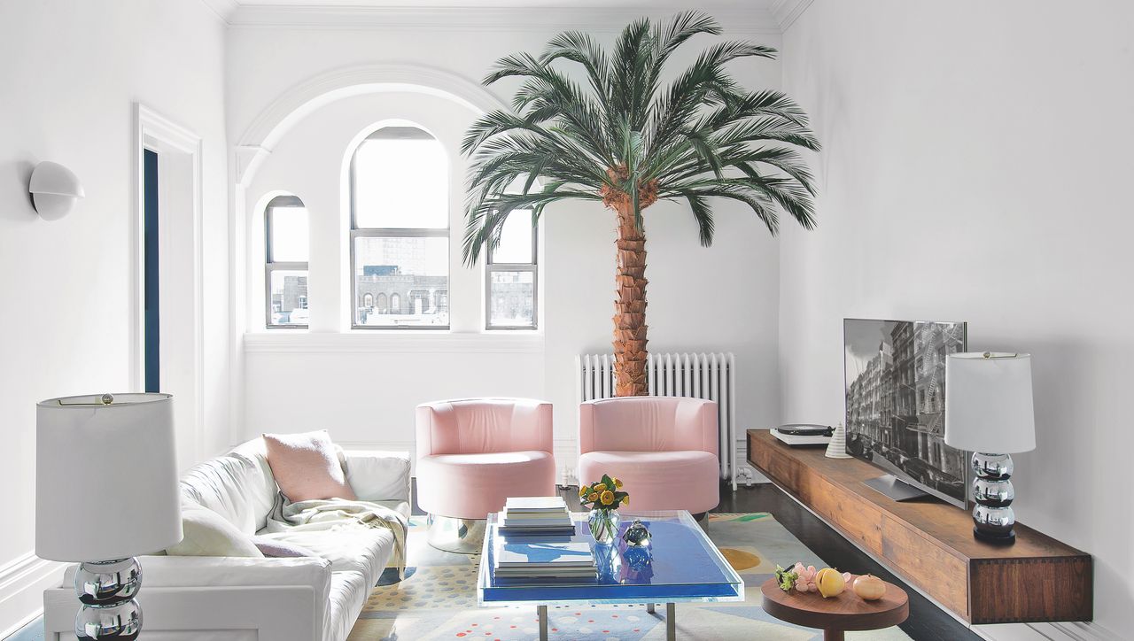 palm tree in living space