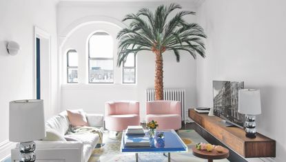 palm tree in living space