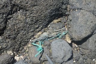 in situ plastiglomerate rock material found on Hawaii's kamilo beach.