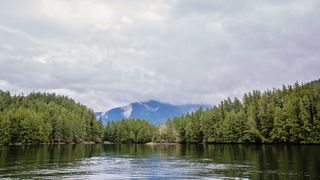 A picturesque view of a lake with forested shores and mountains in the distance