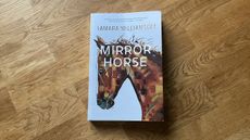 Mirror Horse book cover