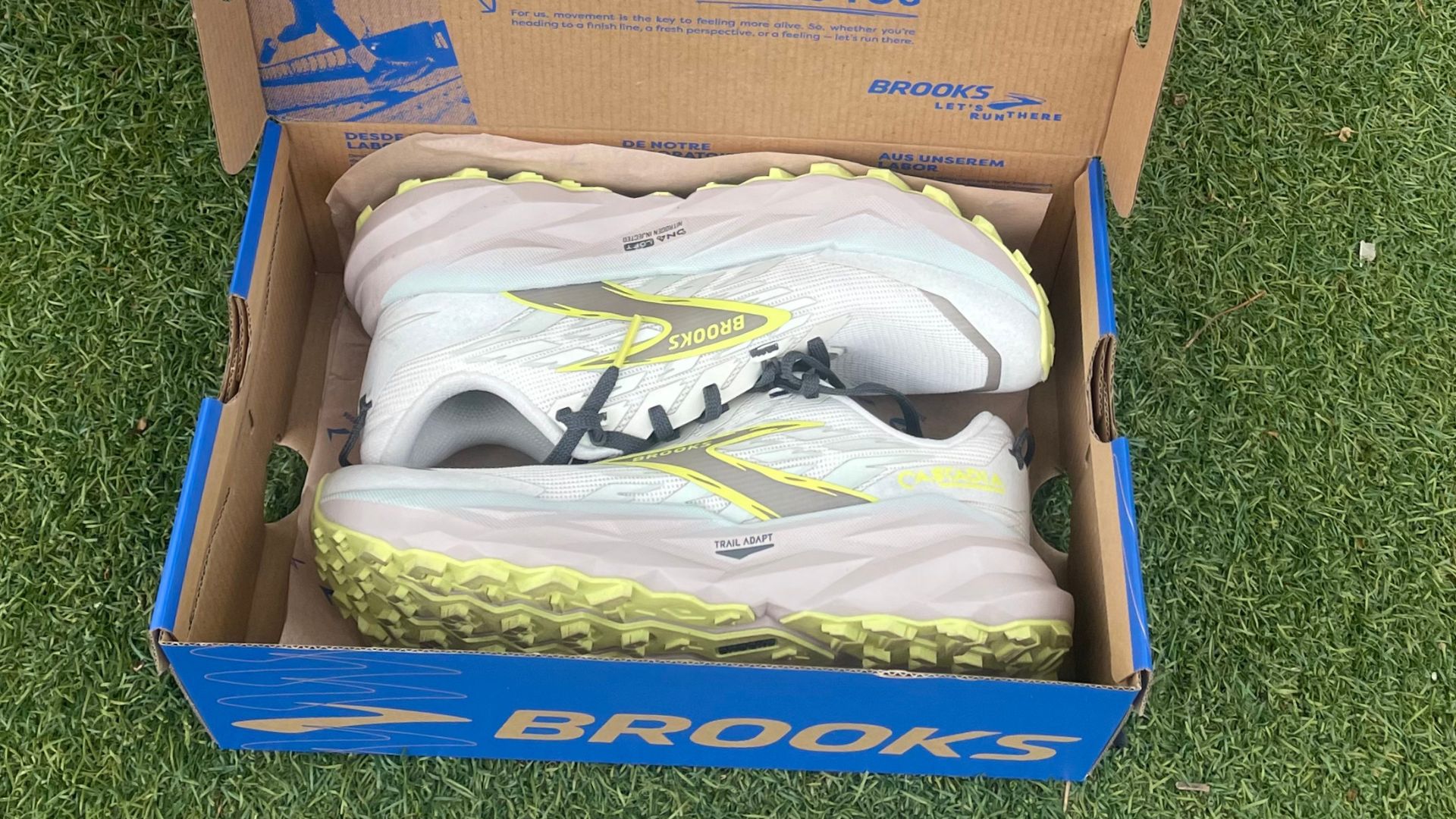 Brooks Cascadia 19 trail running shoe