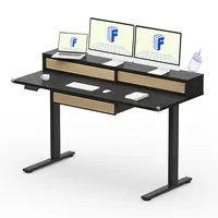 FlexiSpot  Q4 One-Piece (55 x 24 inch)