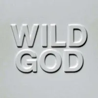 49. Nick Cave &amp; The Bad Seeds - Wild God (PIAS)