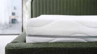 A white zippered fiberglass-free mattress photographed on a forest green boucle bed frame