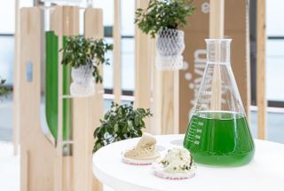 the biodesign work and experiments of ecologicstudio