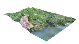 A 3D image of the researchers' study site in Malaysian Borneo, created using drone data.