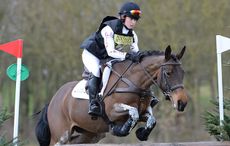 SARI-DE-LOBELLE-HorseNo826_LincolnshireHT16pn_5866.jpg