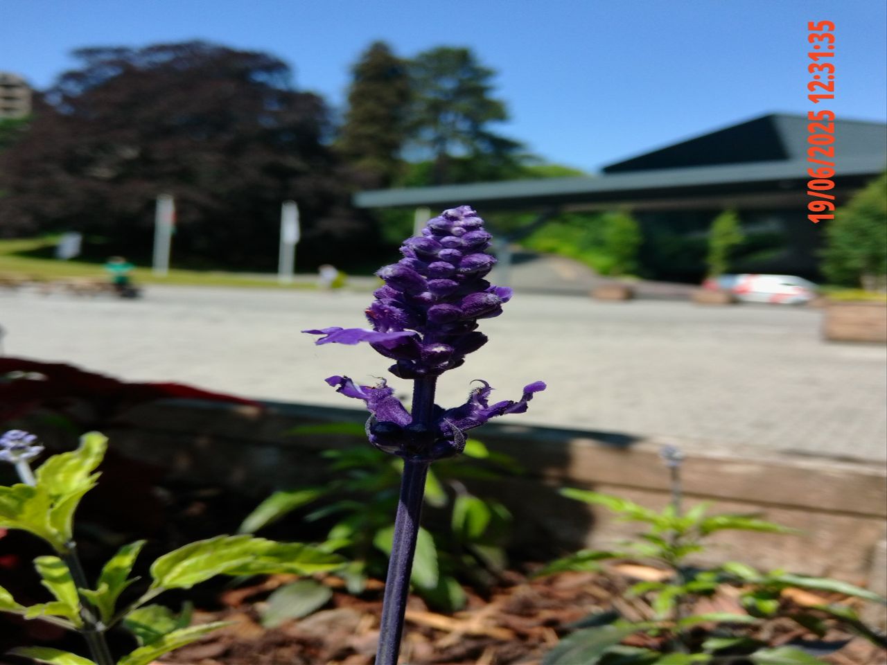 Kodak Pixpro C1