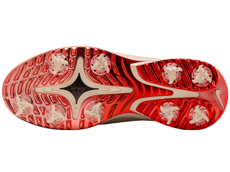 Nike JT shoes