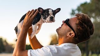 Man holding up a French Bulldog, one of the most popular pets in the world