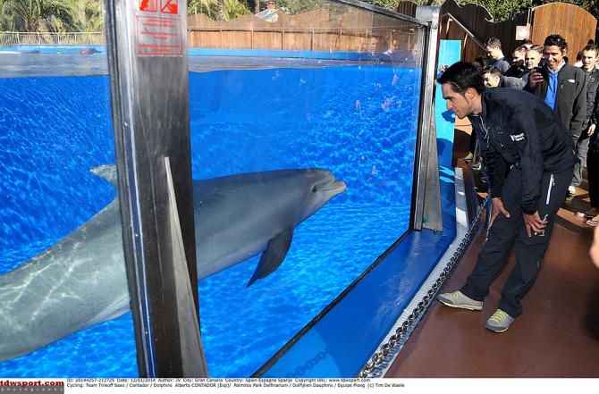 The Tinkoff-Saxo meeting took place at the Palmitos Park Delfinarium in Gran Canaria