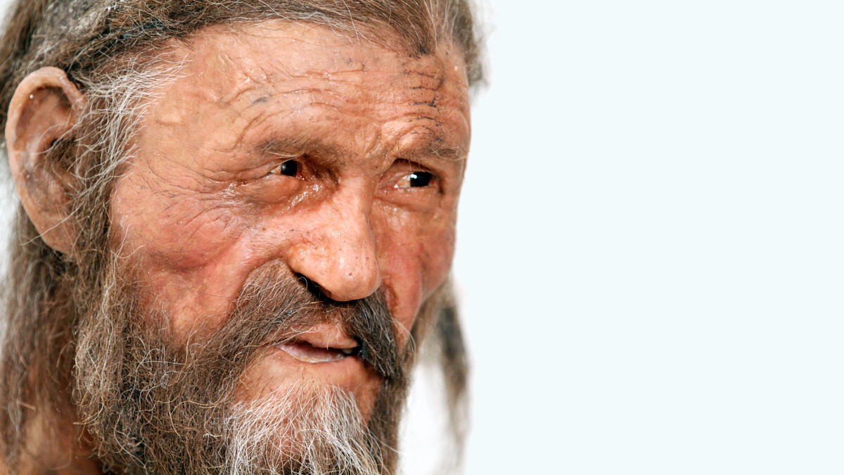 Ötzi the Iceman and his neighbors had totally different ancestries, ancient DNA study finds | Live Science