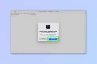 A screenshot showing how to stop your Mac sleeping using the caffeinate Terminal command