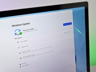 Windows 11 Update Checkforupdate Light