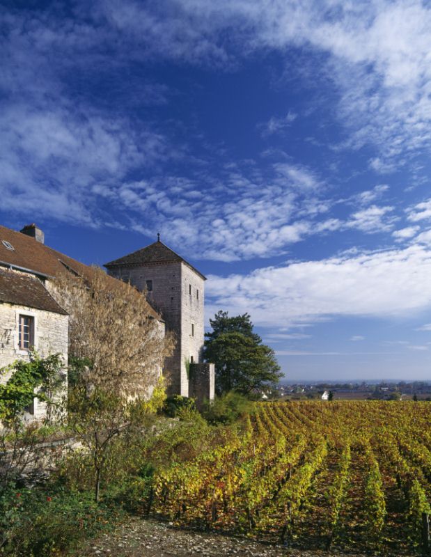Chateau Gevrey Chambertin