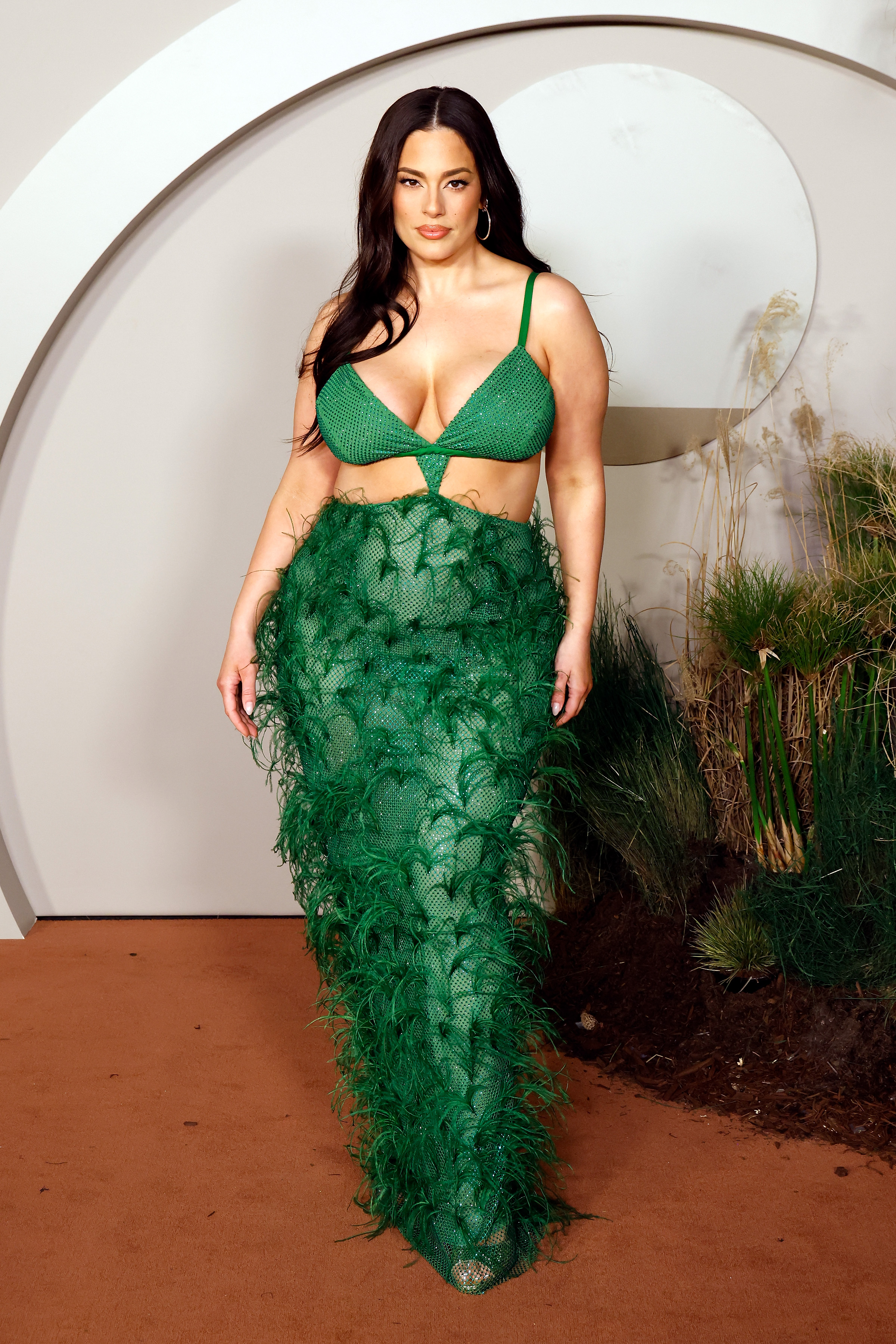 green - ashley green