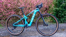 Salsa Cycles' Wanderosa 