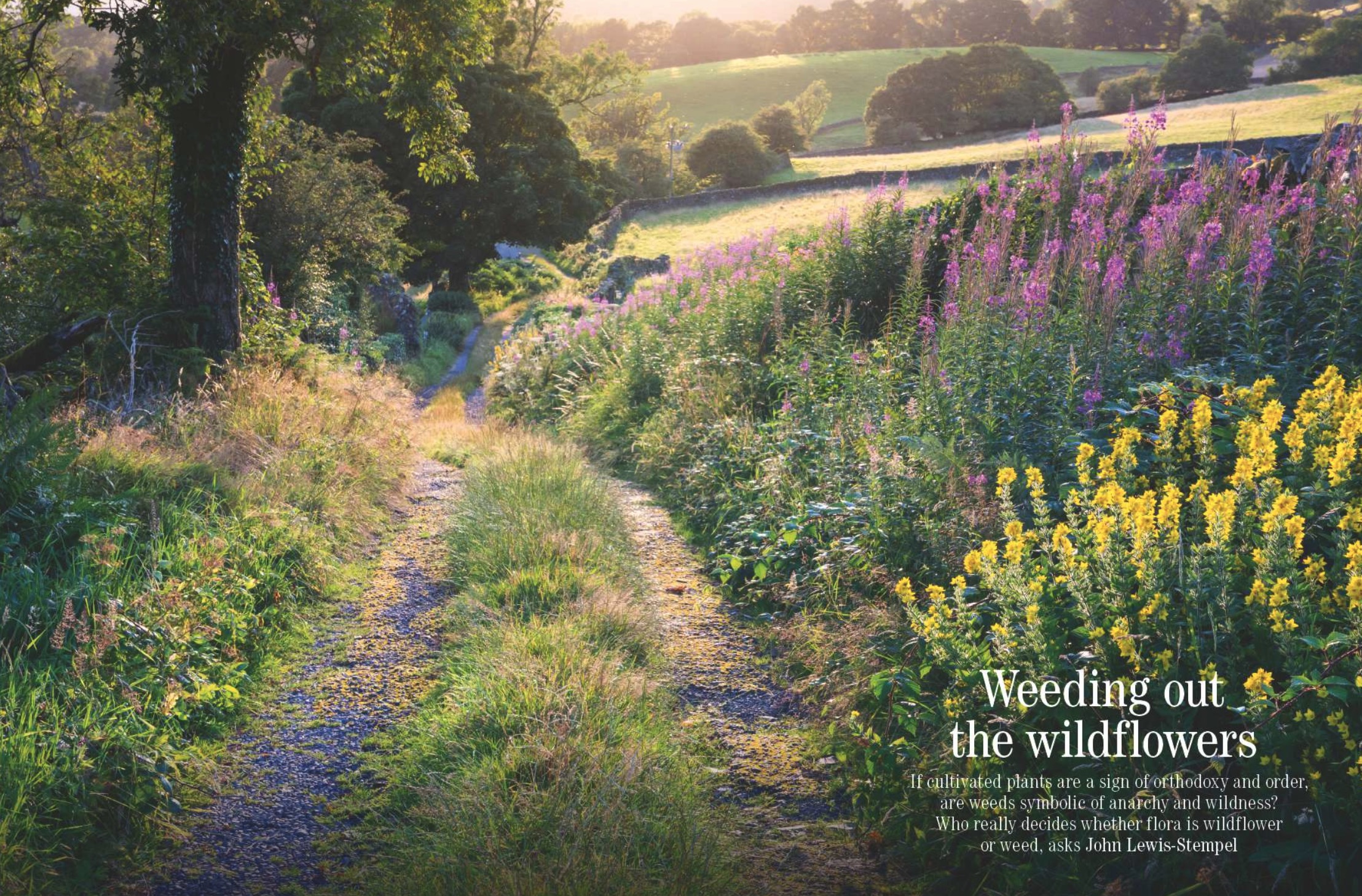 Spreads from Country Life June 24, 2026