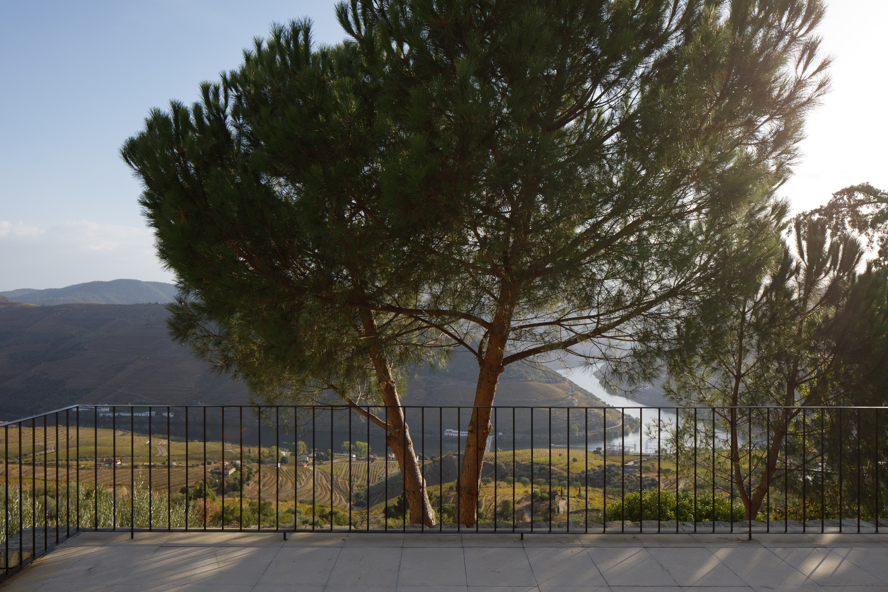 The view of the Douro River from the terrace