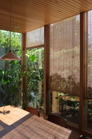 Fabric blinds in a home filled with lots of nature and neutral tones