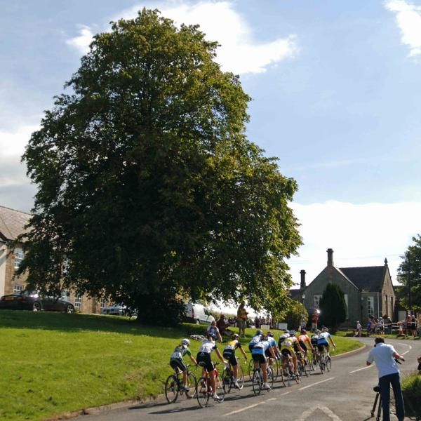 The bunch after the first lap