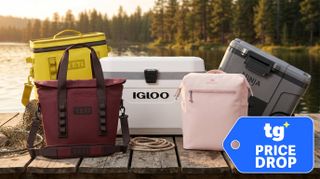 Hard and soft shell coolers from Yeti, Igloo, Stanley, Ninja