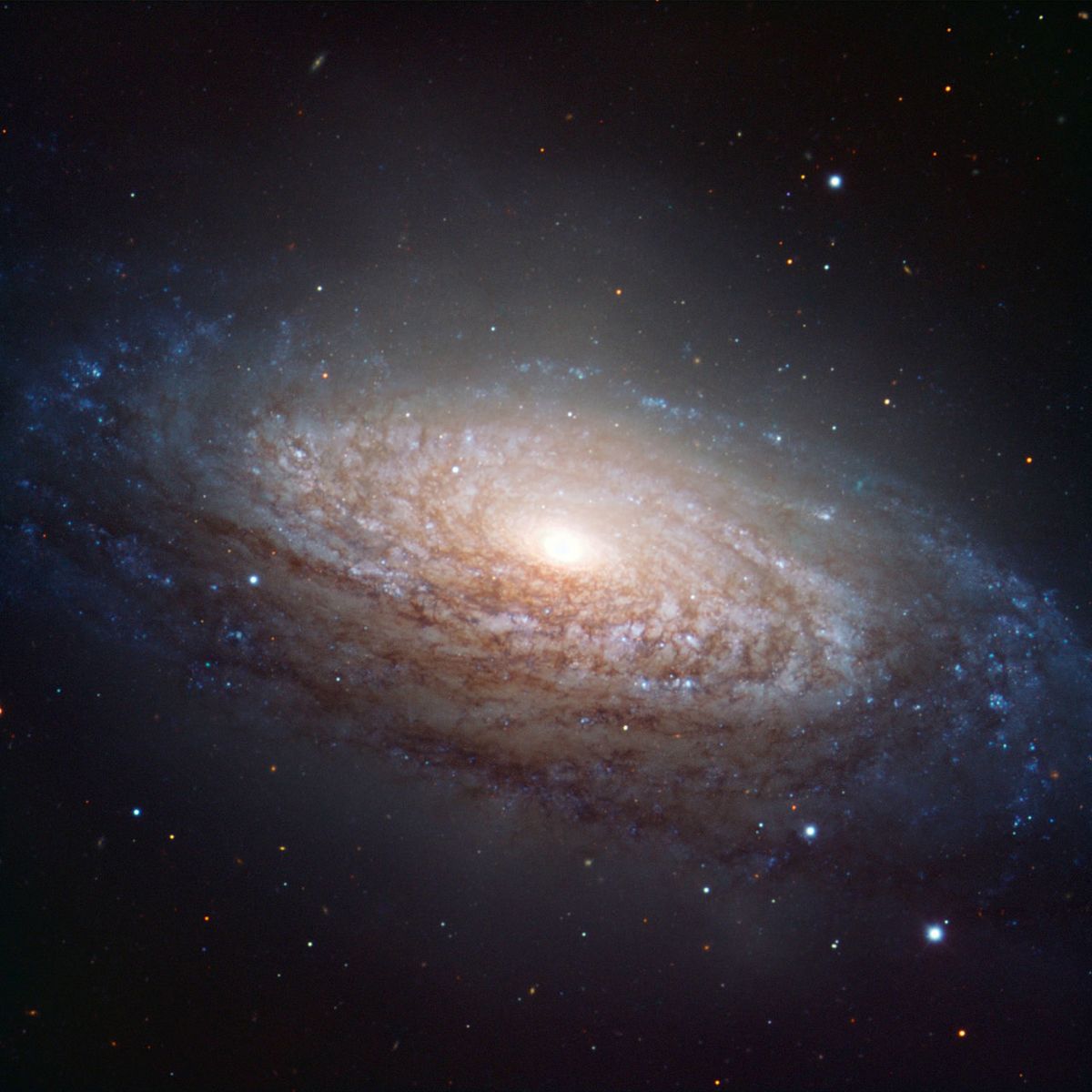 A Spiral Galaxy in Leo