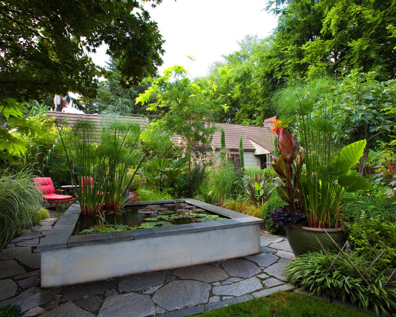 raised square pond in small urban garden