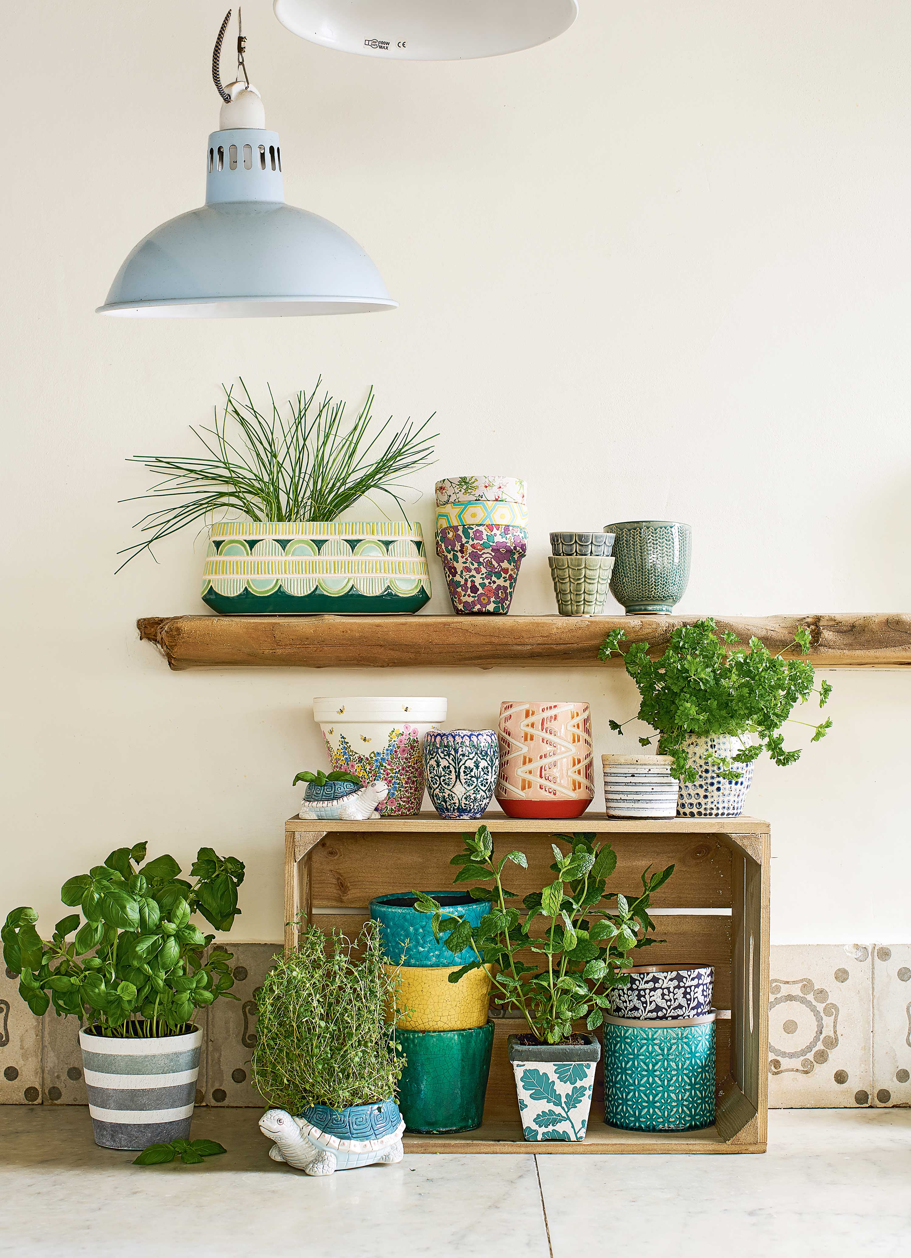 indoor garden ideas: shelves of plants